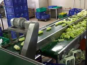 băng tải thực phẩm chế biến nông sản
